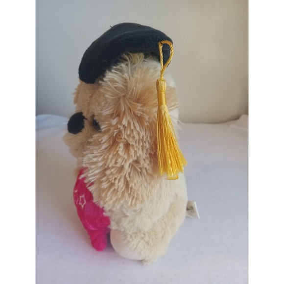 BALLOON DELIGHTS PUPPY DOG  GRADUATION,  WITH PINK AND WHITE STAR  8" INC - Picture 2 of 5